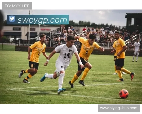 开元云体育app下载官网官方入口，快速注册登录体验丰富体育赛事直播