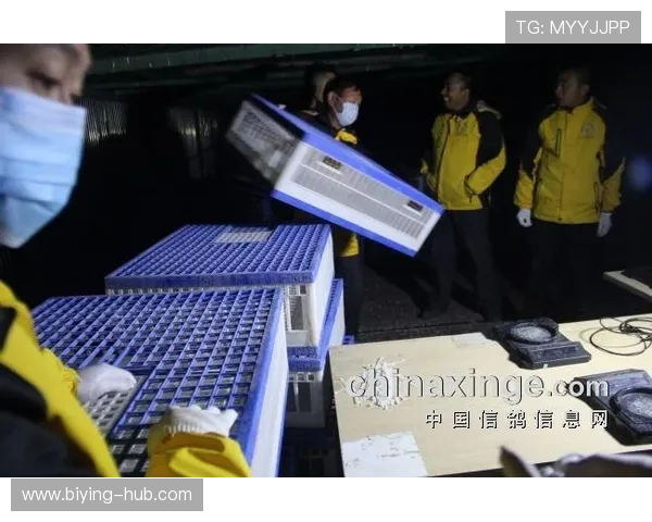 未来投资趋势下德赢投资管理有限公司的发展战略与创新布局全面解析